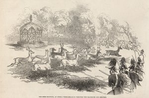 The Deer Shooting at Gotha: Deer breaking through the Chasseurs and Keepers by English School